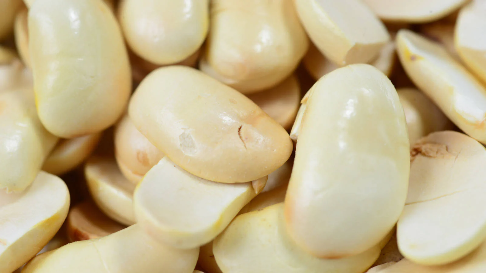 Multicolour Medley Nuna Beans - 600 Grams Jar - Image 3