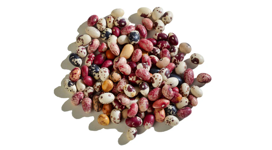 Multicolour Medley Nuna Beans - 600 Grams Jar - Image 5