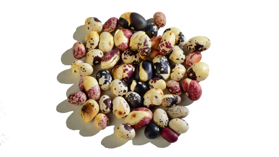 Multicolour Medley Nuna Beans - 600 Grams Jar - Image 4