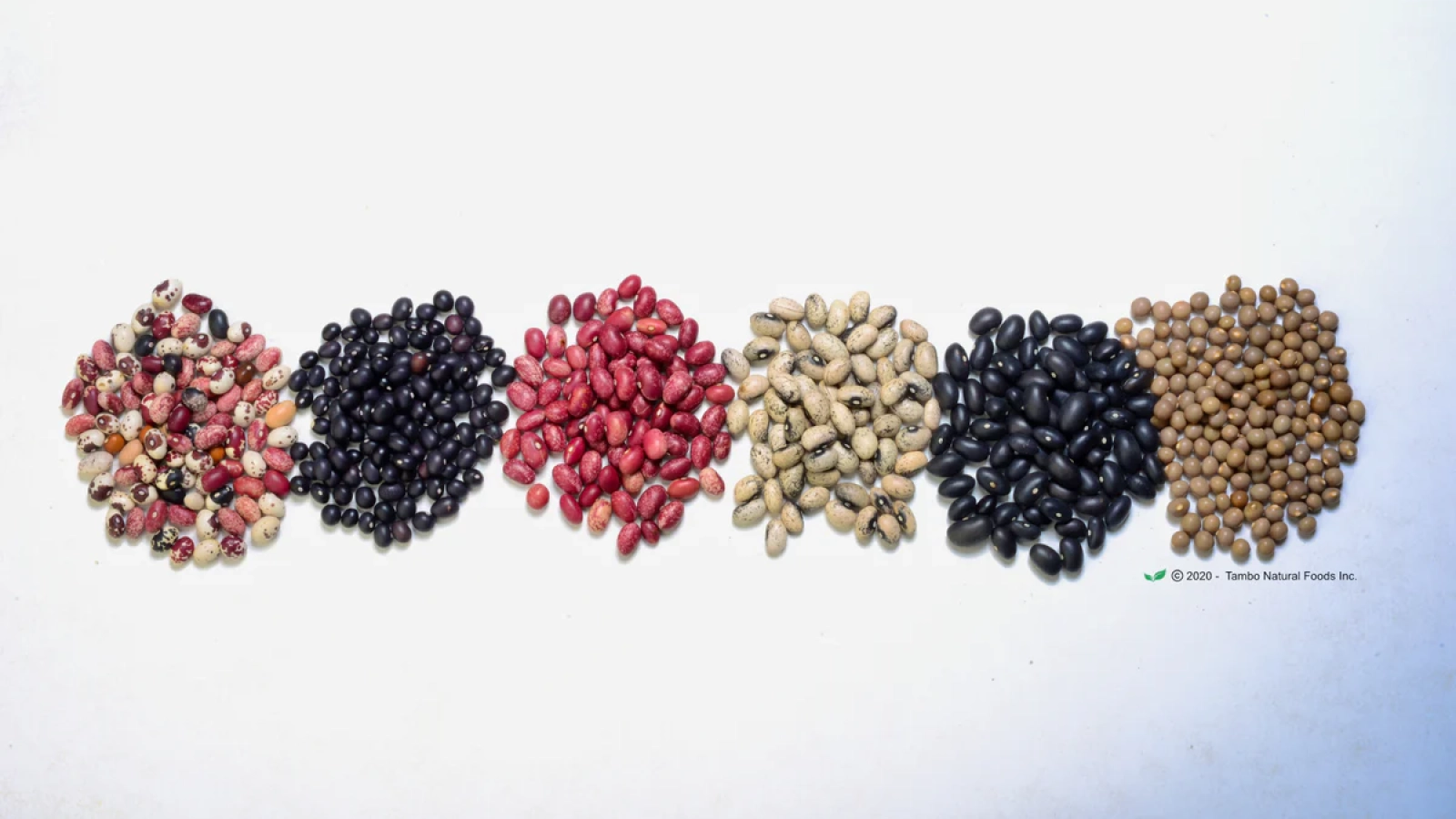 DSC_4881_copy_Photolemur_V002_068ba28d-1375-4802-b869-b4a1ae9b3aa2_1200x1200