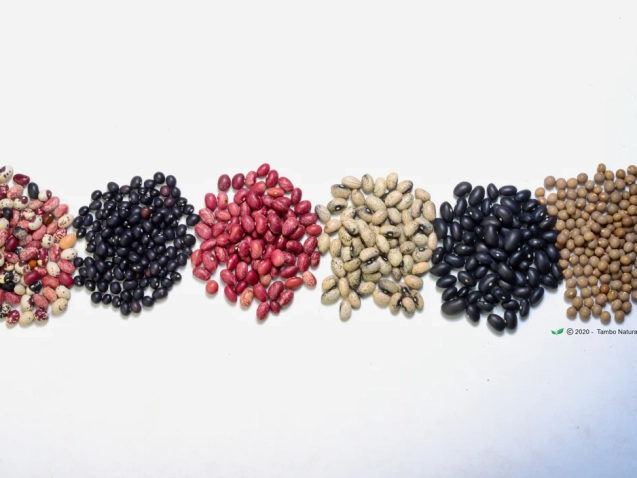 DSC_4881_copy_Photolemur_V002_068ba28d-1375-4802-b869-b4a1ae9b3aa2_1200x1200